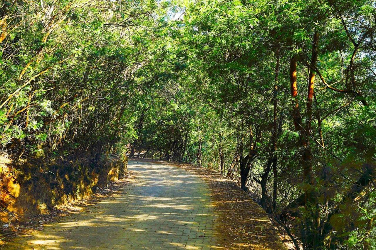 Logan Camp Ooty Ξενοδοχείο Coonoor Εξωτερικό φωτογραφία